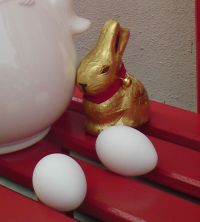 Der Osterhase mag keine weißen Ostereier verstecken...